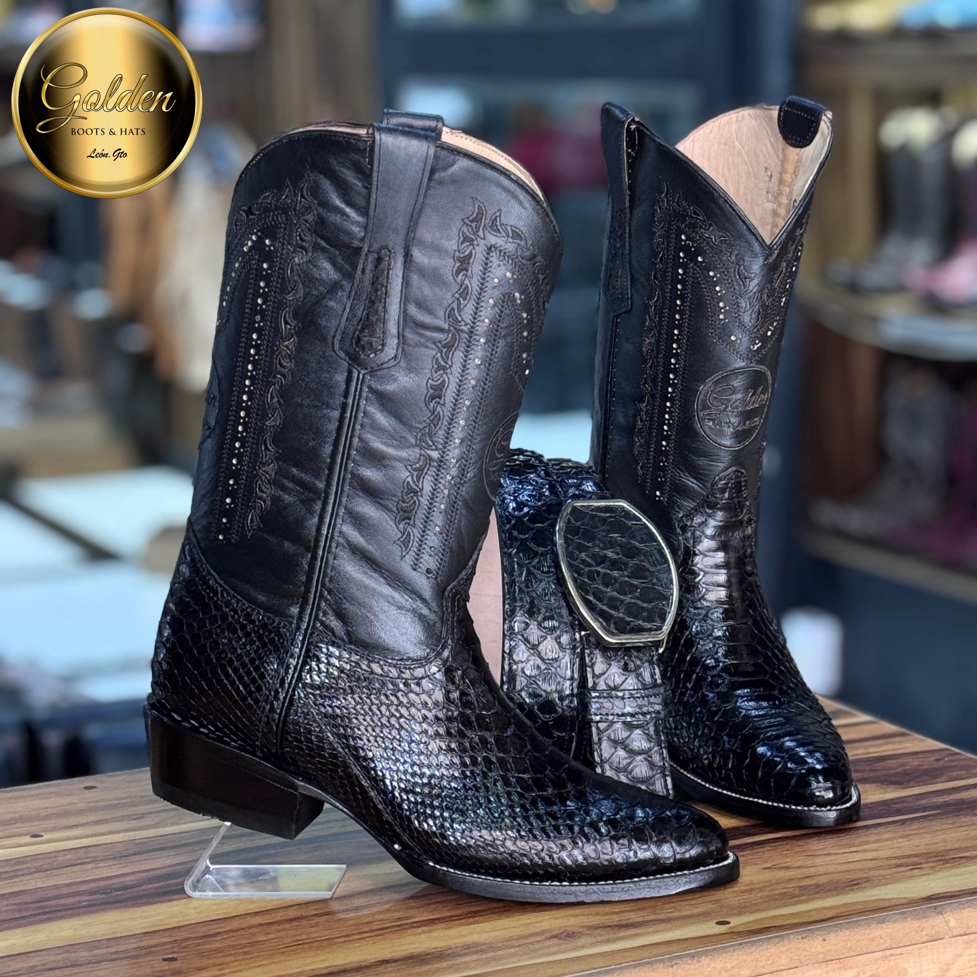 Oval Golden Piton Negro Brilloso