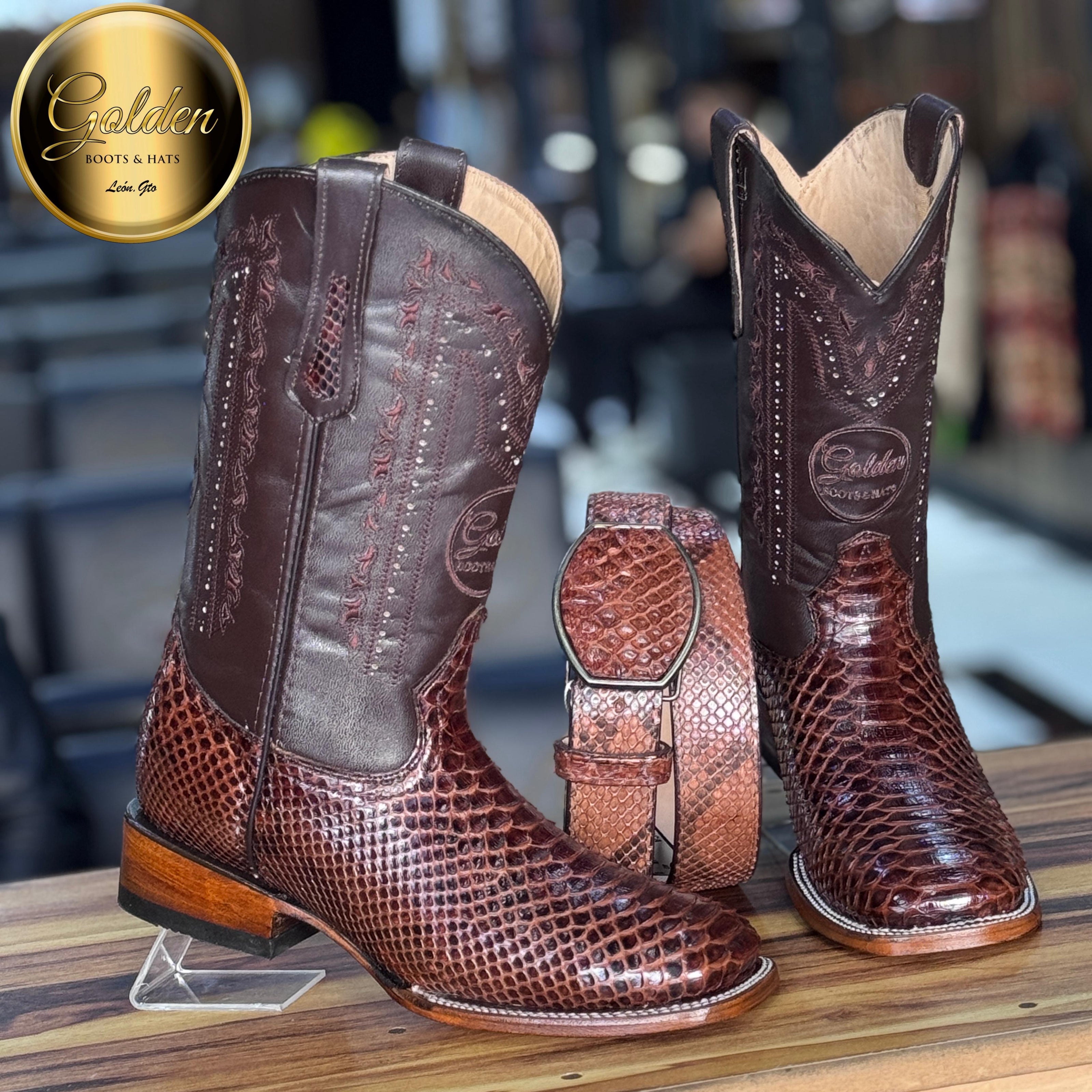 Bota Bulldog Golden Piton Café Brilloso