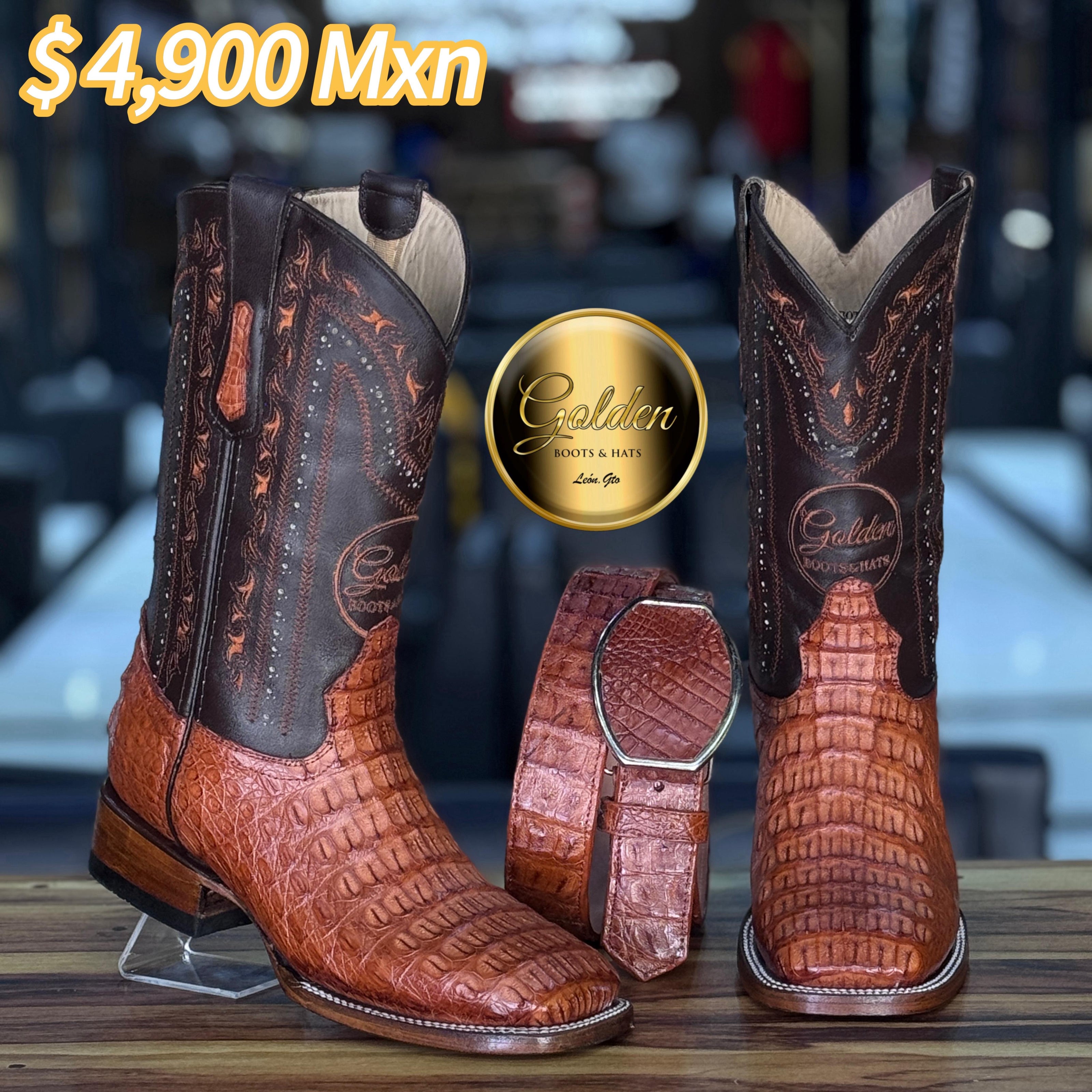 Bota Bulldog Golden Cocodrilo Lomo Coñac