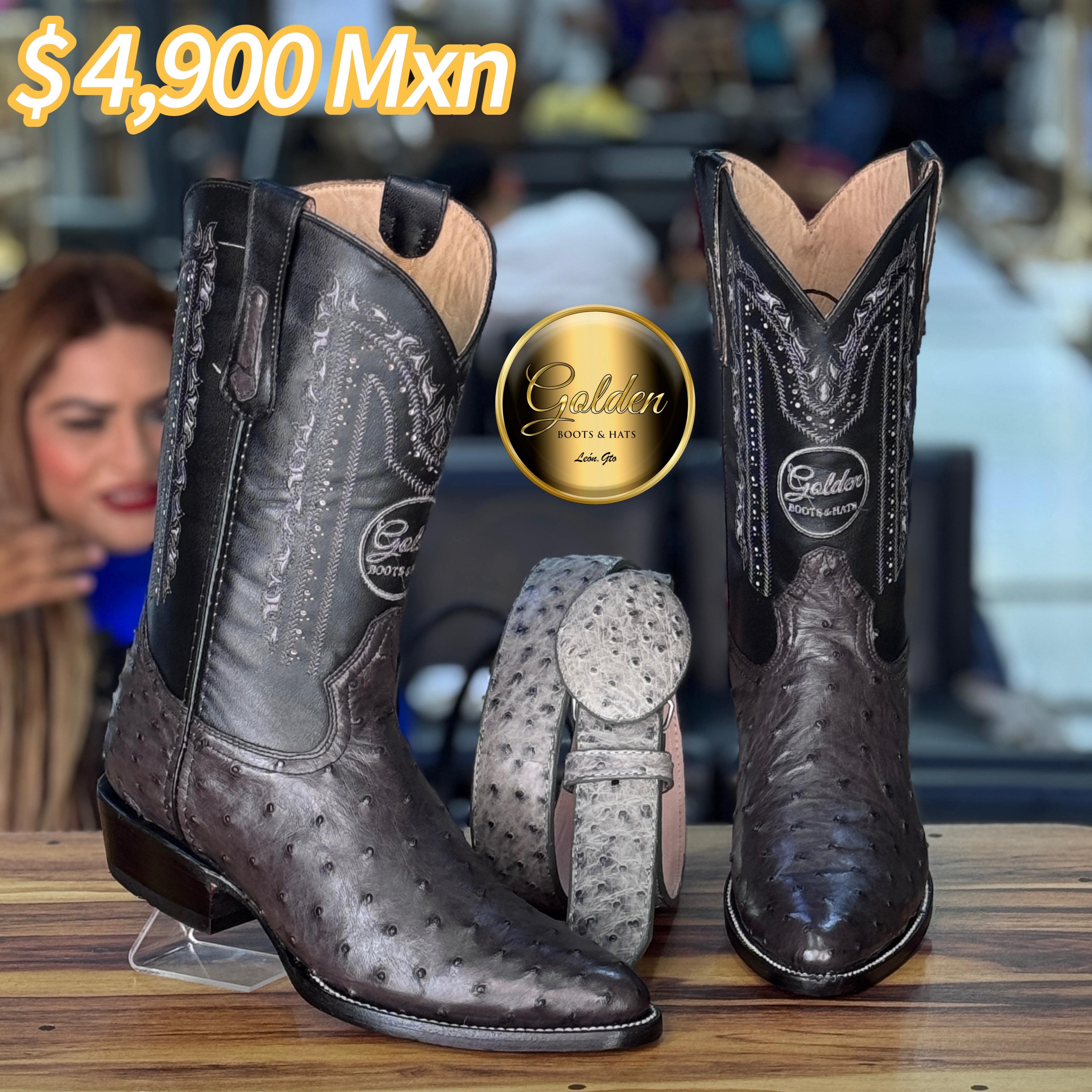 Oval Golden Aveztruz Gris