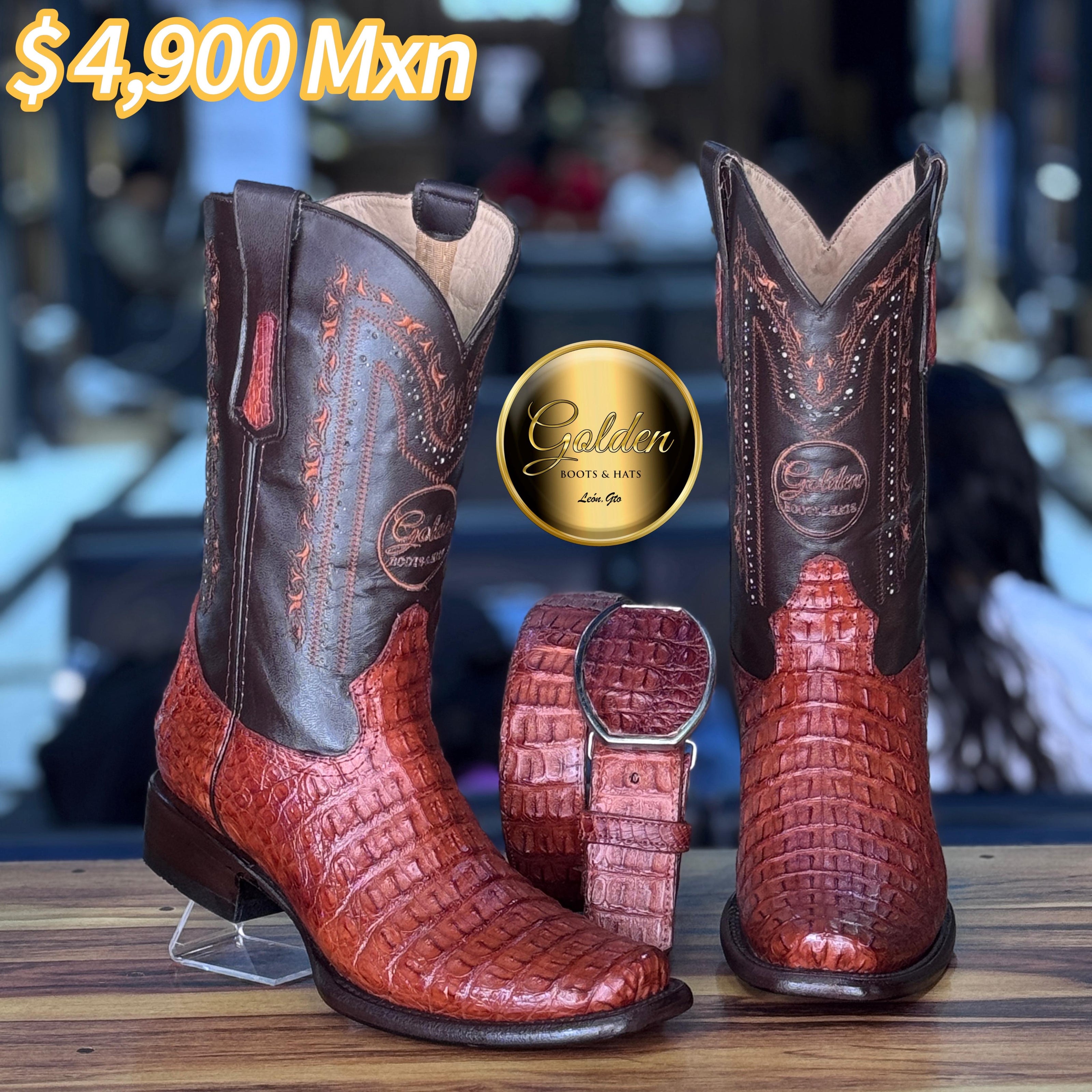 Dubay Golden Cocodrilo Lomo Coñac