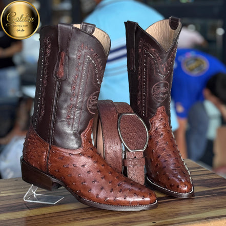 Bota Oval Golden Aveztruz Café