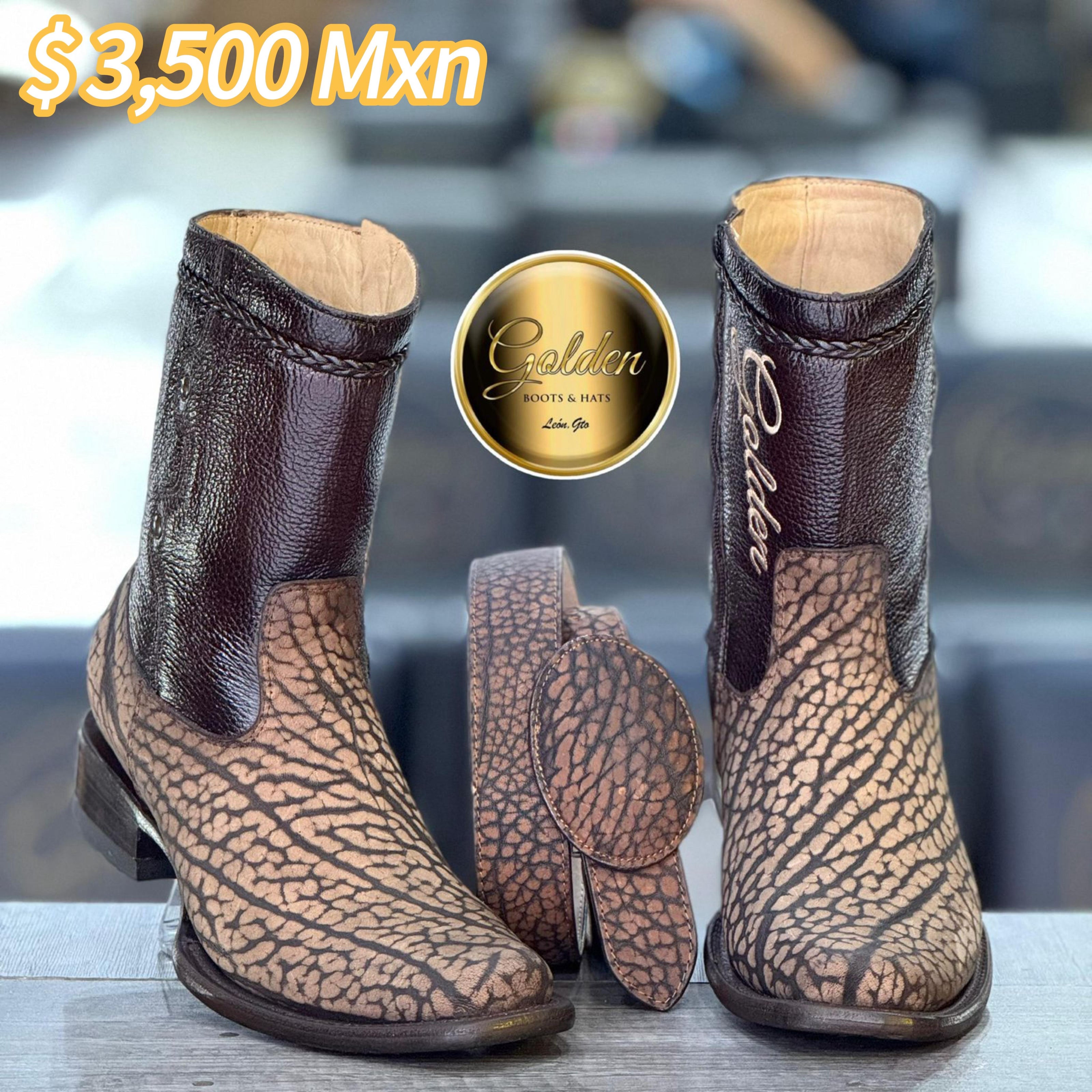 Botín Golden Cuello De Toro Arena