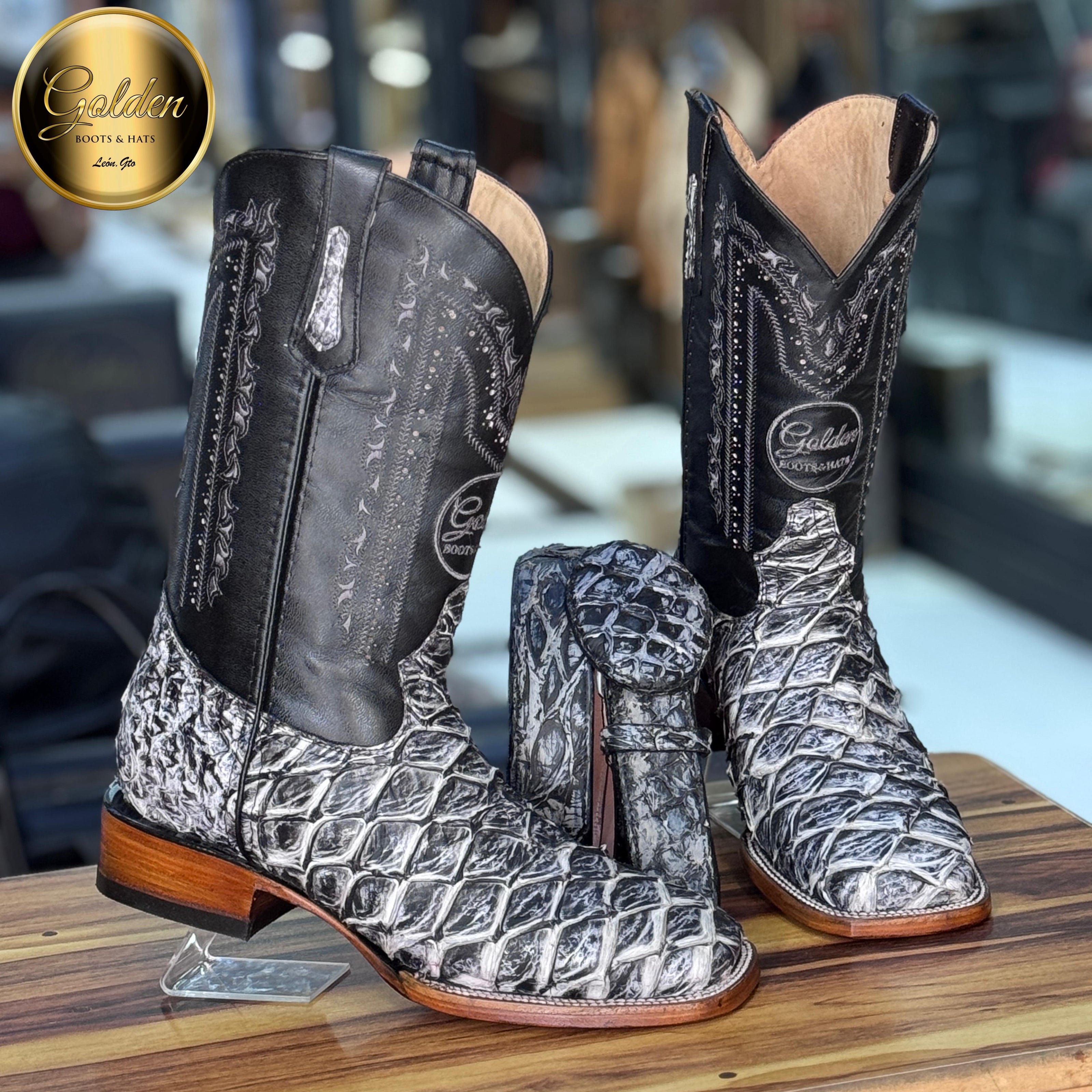 Bulldog Golden Pescado Periódico