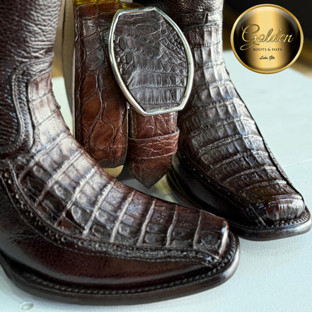 Botín Golden Cocodrilo Panza Café Con Cinto
