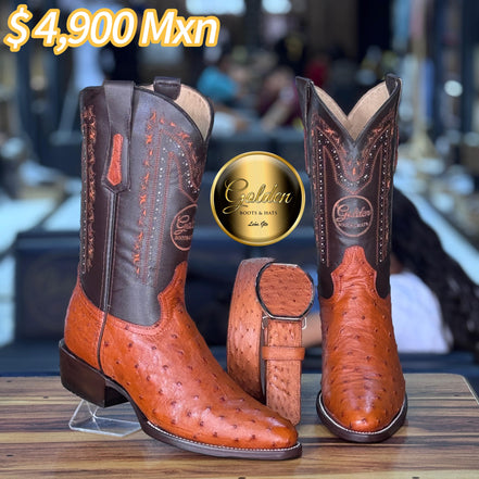 Oval Golden Aveztruz Coñac