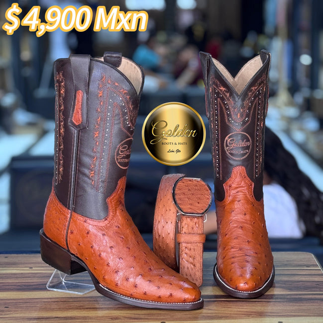 Oval Golden Aveztruz Coñac