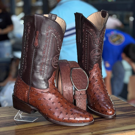 Bota Oval Golden Aveztruz Café