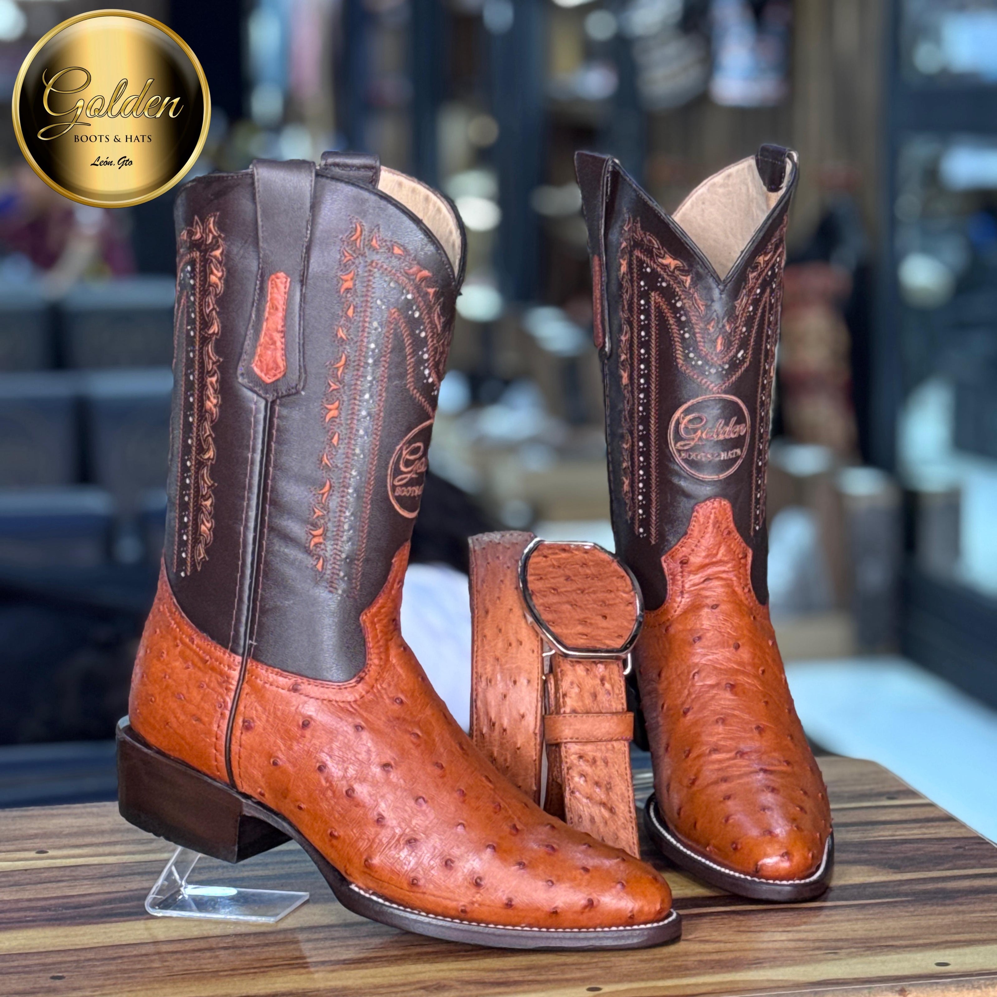 Oval Golden Aveztruz Coñac