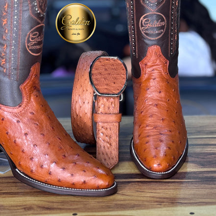 Oval Golden Aveztruz Coñac