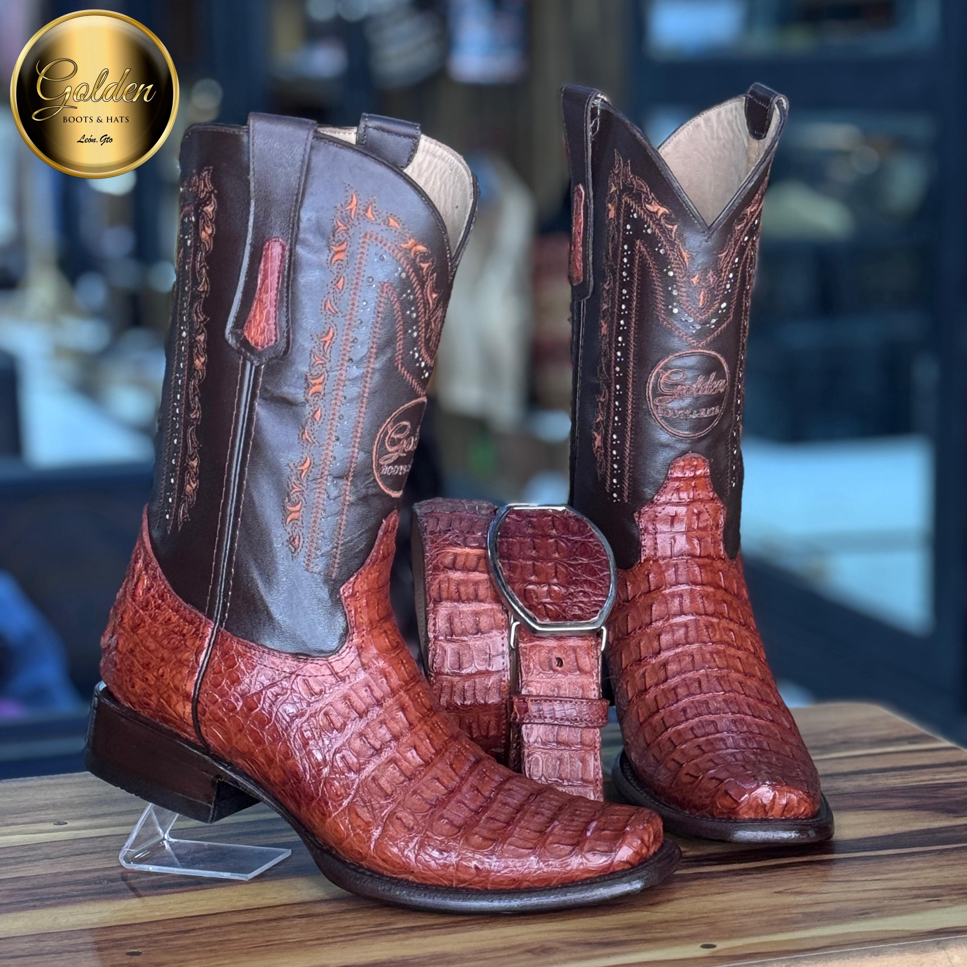 Dubay Golden Cocodrilo Lomo Coñac