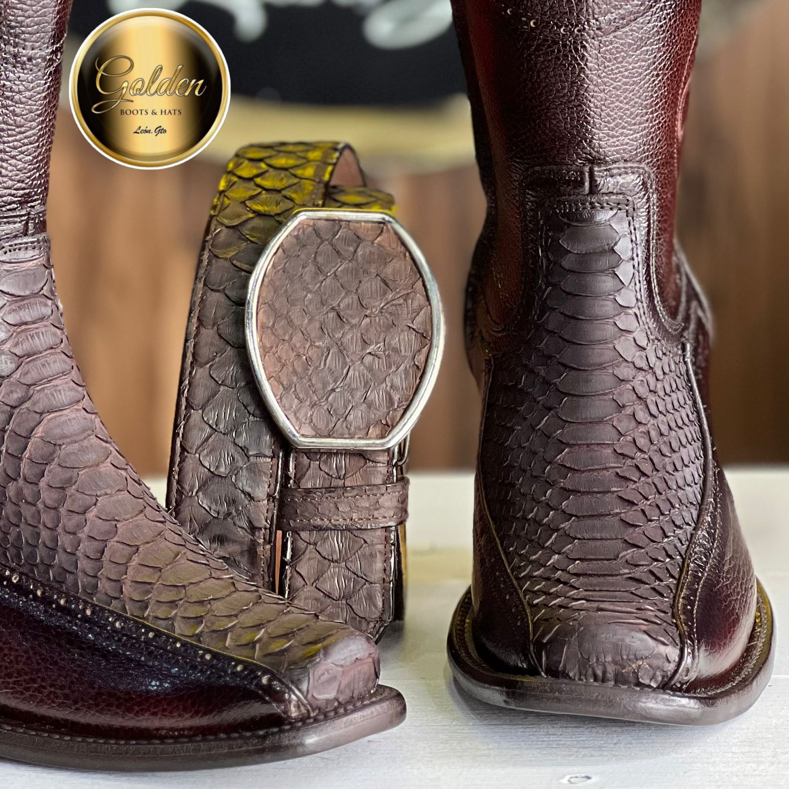 Botín Golden Orión Piton Nobuk Café