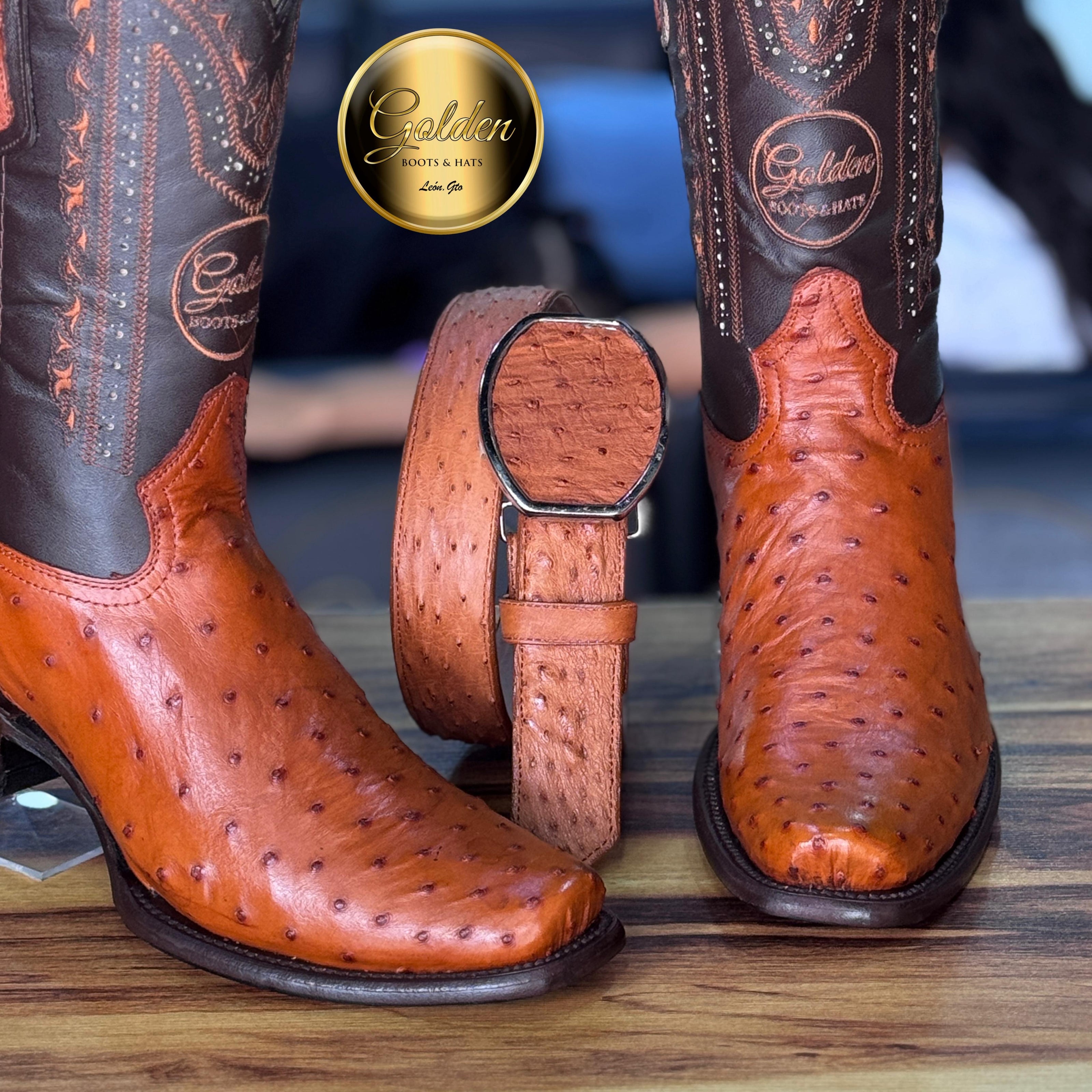 Dubay Golden Aveztruz Coñac