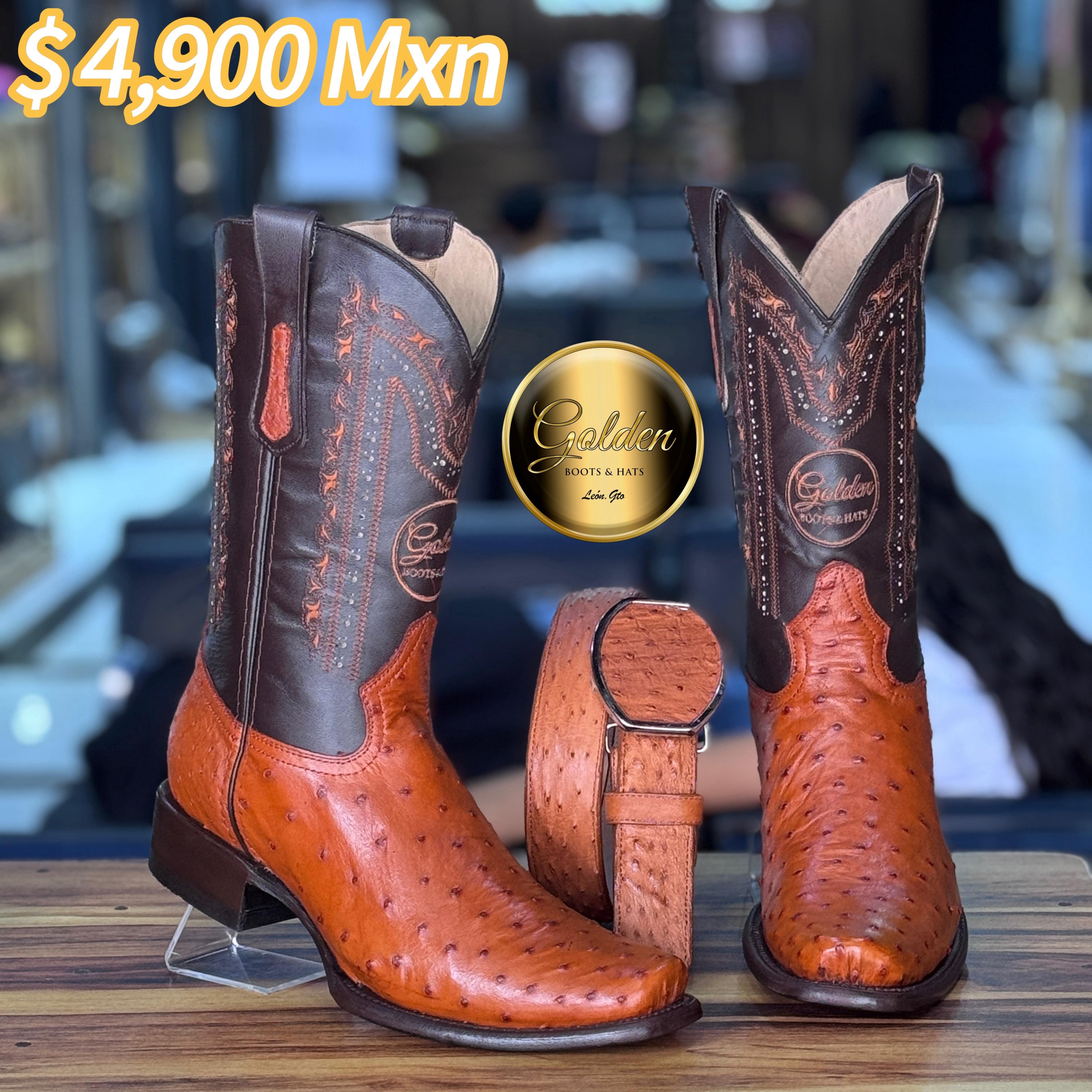 Dubay Golden Aveztruz Coñac