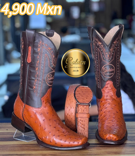 Dubay Golden Aveztruz Coñac