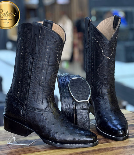 Oval Golden Aveztruz Negro