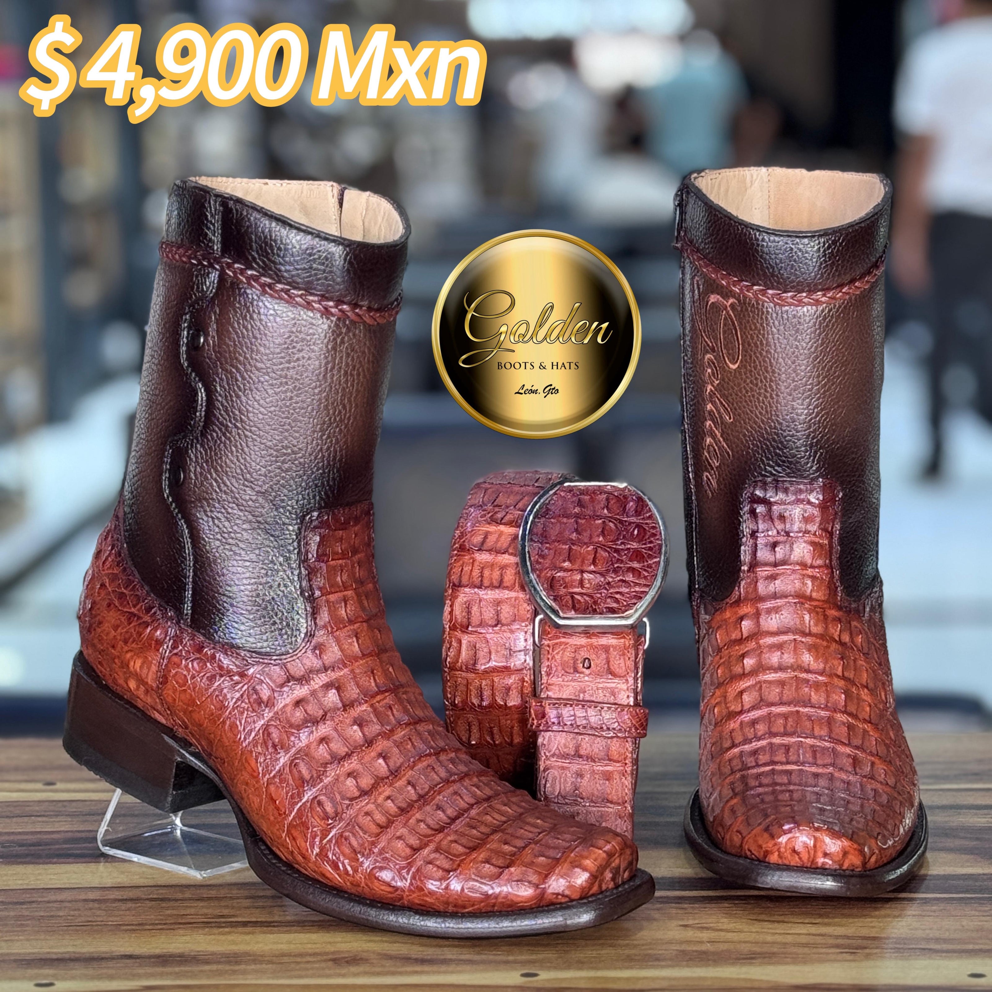 Botín Golden Cocodrilo Lomo Coñac
