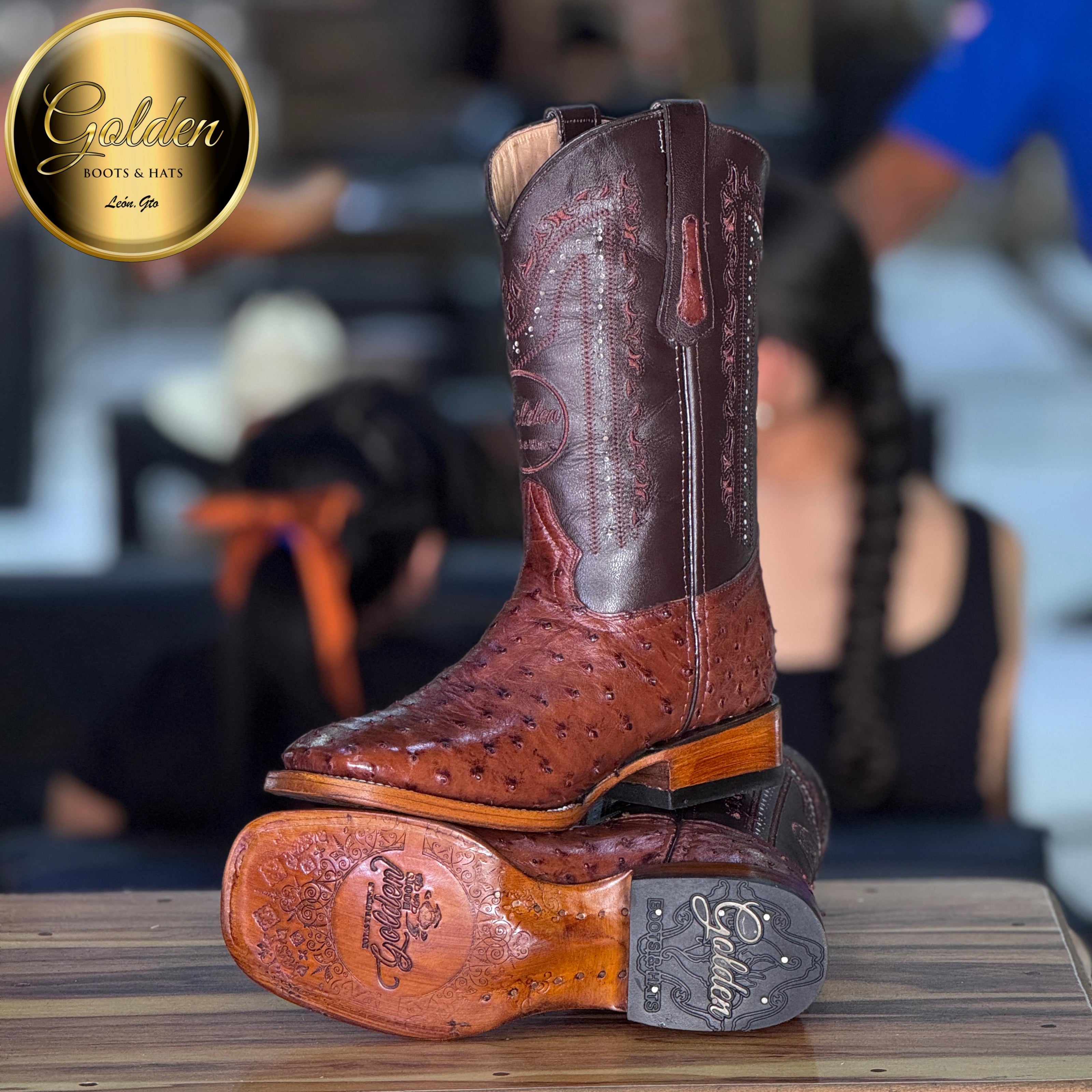 Bota Bulldog Golden Aveztruz Café