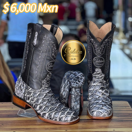 Bulldog Golden Pescado Periódico