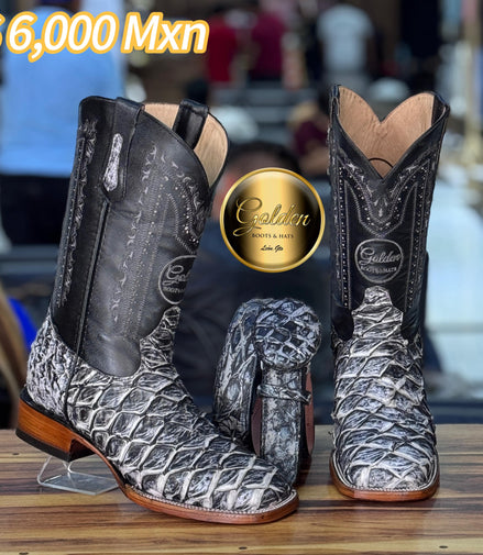 Bulldog Golden Pescado Periódico