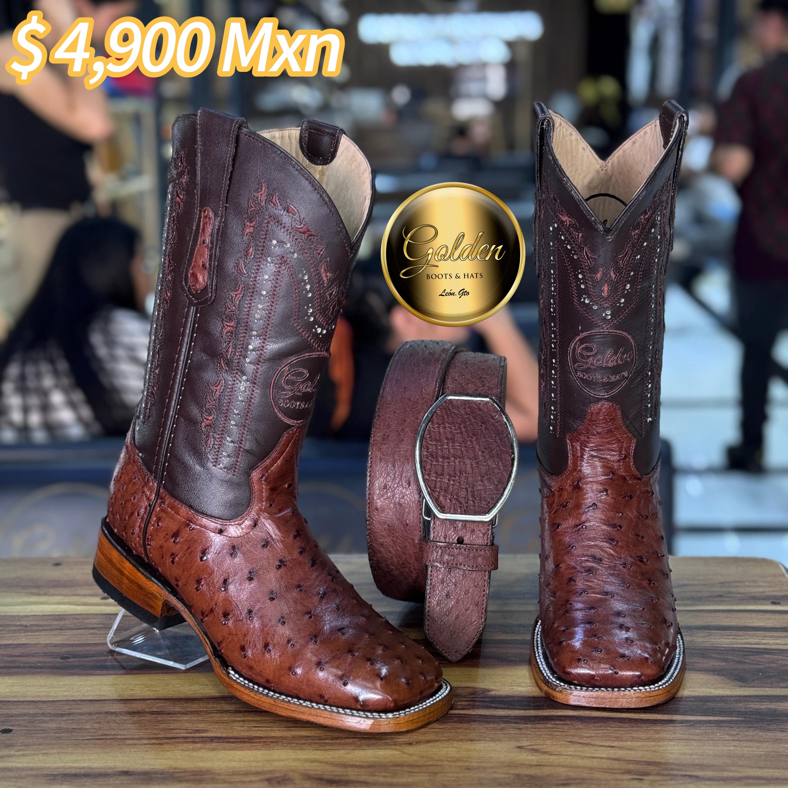 Bota Bulldog Golden Aveztruz Café