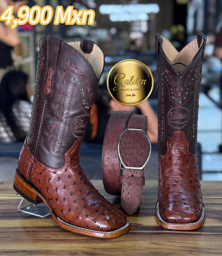 Bota Bulldog Golden Aveztruz Café