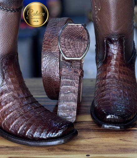 Botín Golden Cocodrilo Panza Café