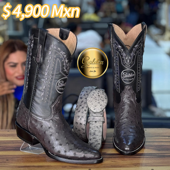 Oval Golden Aveztruz Gris