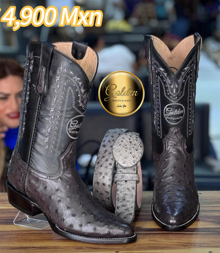 Oval Golden Aveztruz Gris