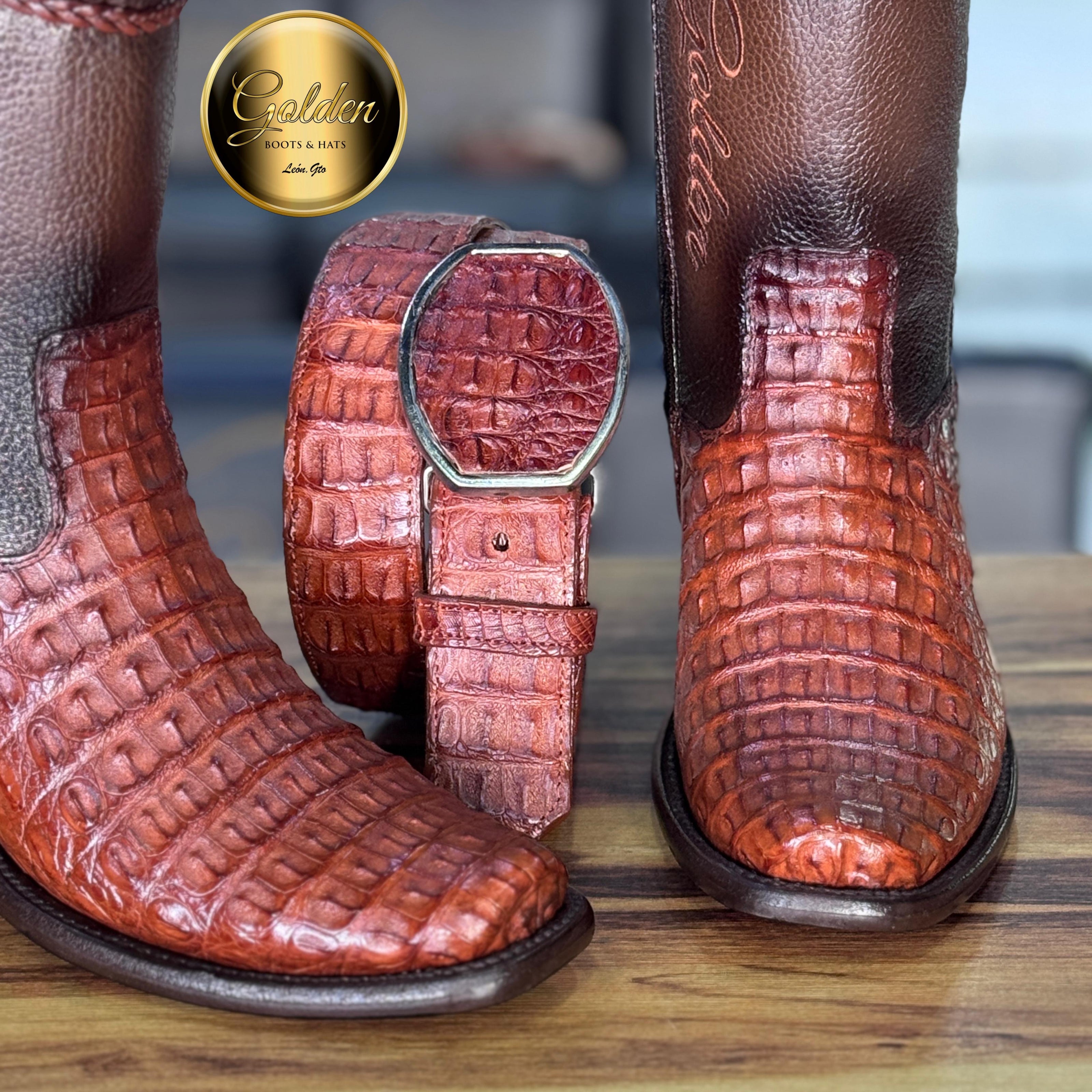 Botín Golden Cocodrilo Lomo Coñac