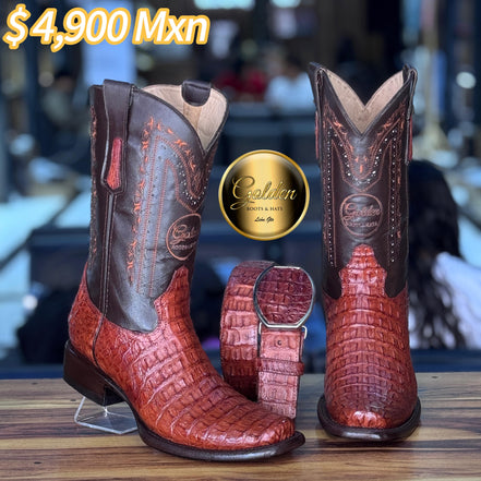 Dubay Golden Cocodrilo Lomo Coñac