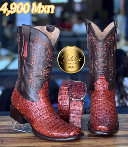 Dubay Golden Cocodrilo Lomo Coñac