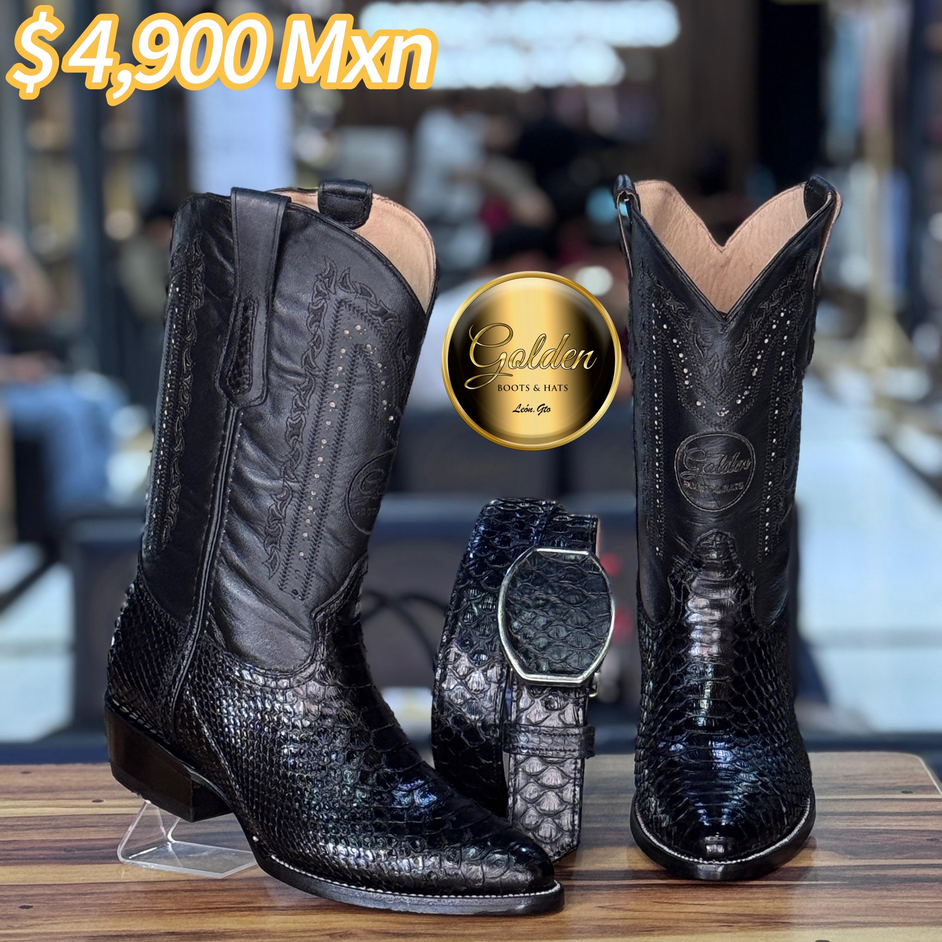 Oval Golden Piton Negro Brilloso