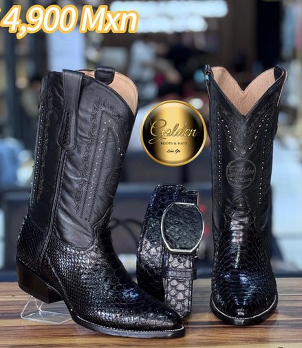 Oval Golden Piton Negro Brilloso