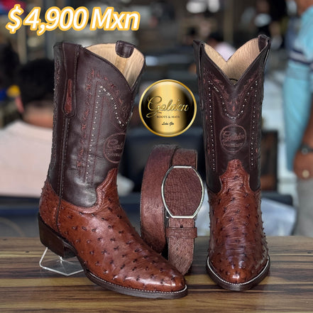 Bota Oval Golden Aveztruz Café