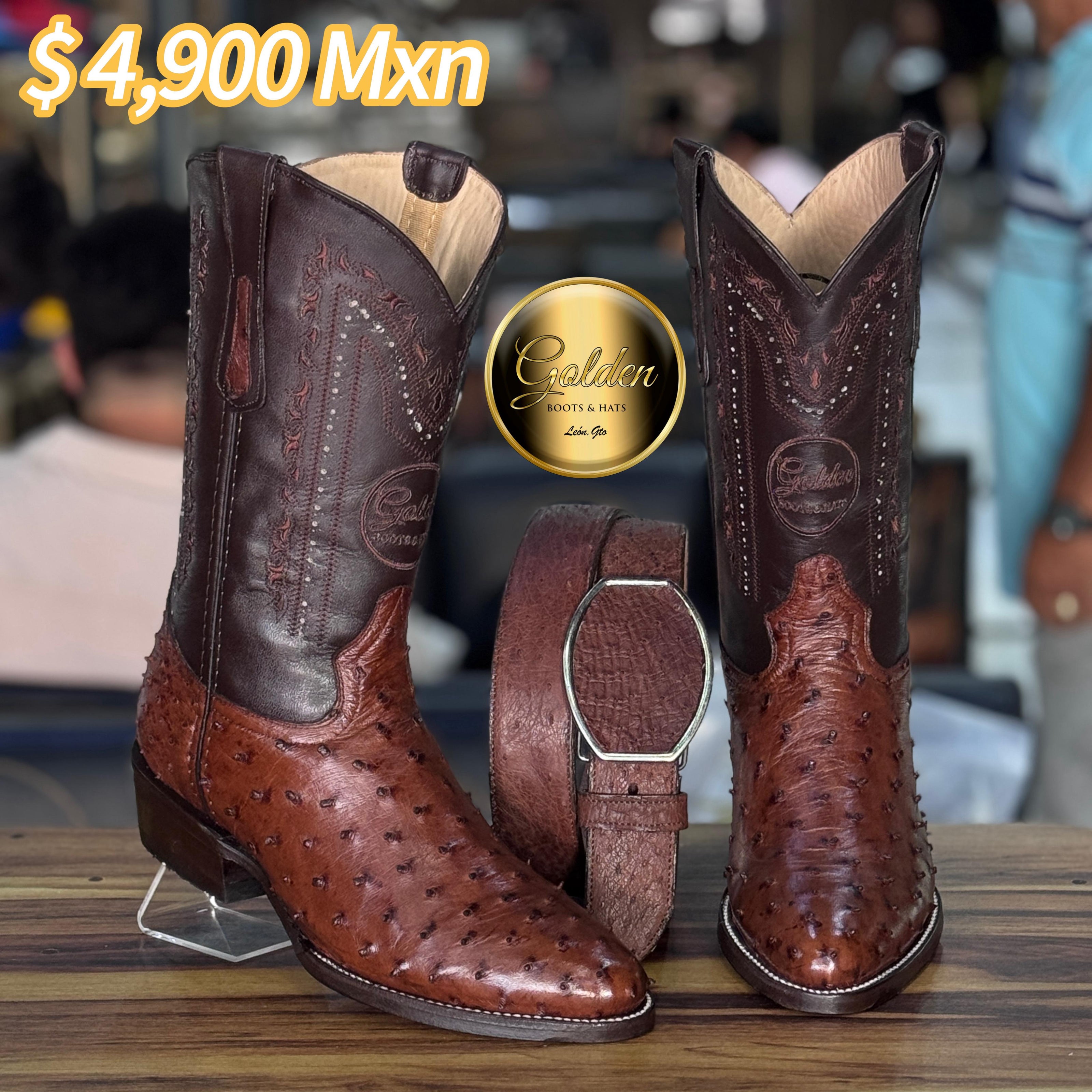 Bota Oval Golden Aveztruz Café