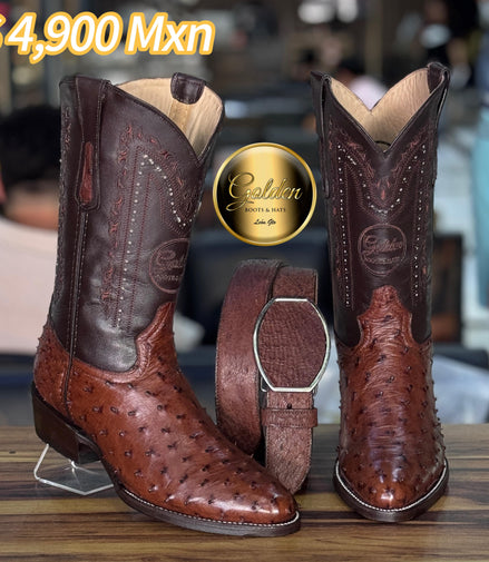 Bota Oval Golden Aveztruz Café