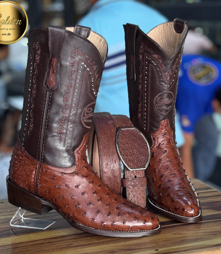 Bota Oval Golden Aveztruz Café