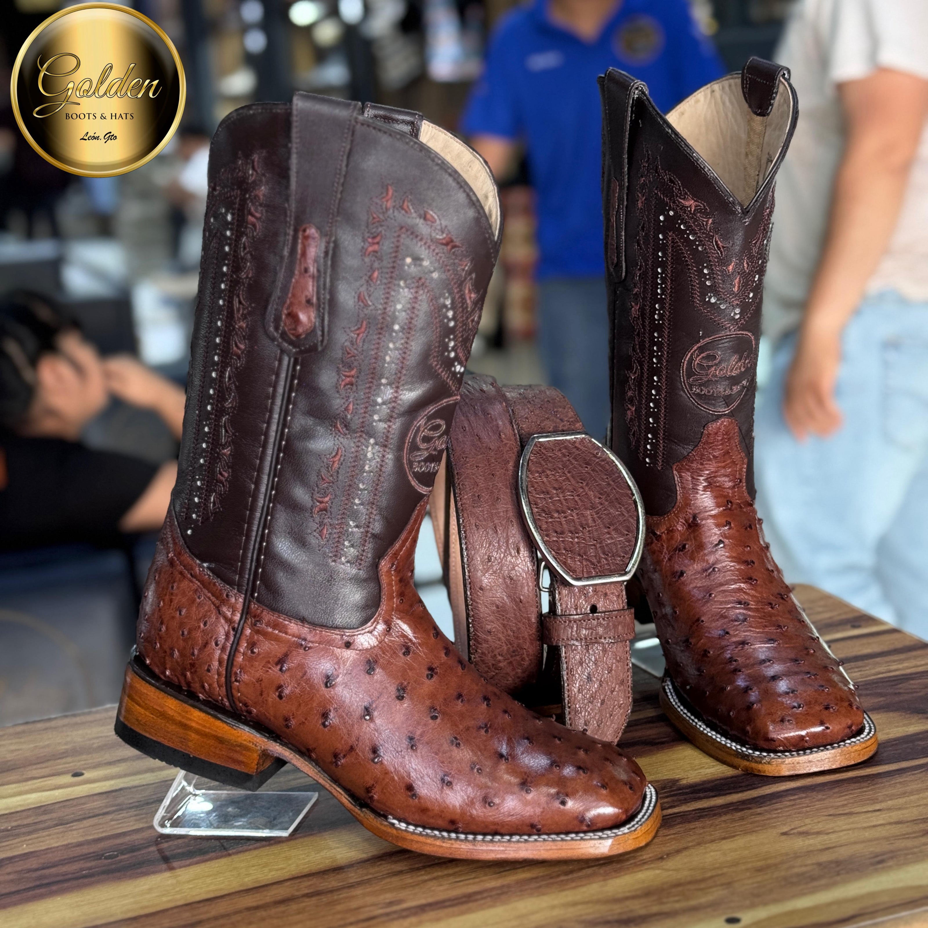 Bota Bulldog Golden Aveztruz Café