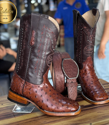 Bota Bulldog Golden Aveztruz Café