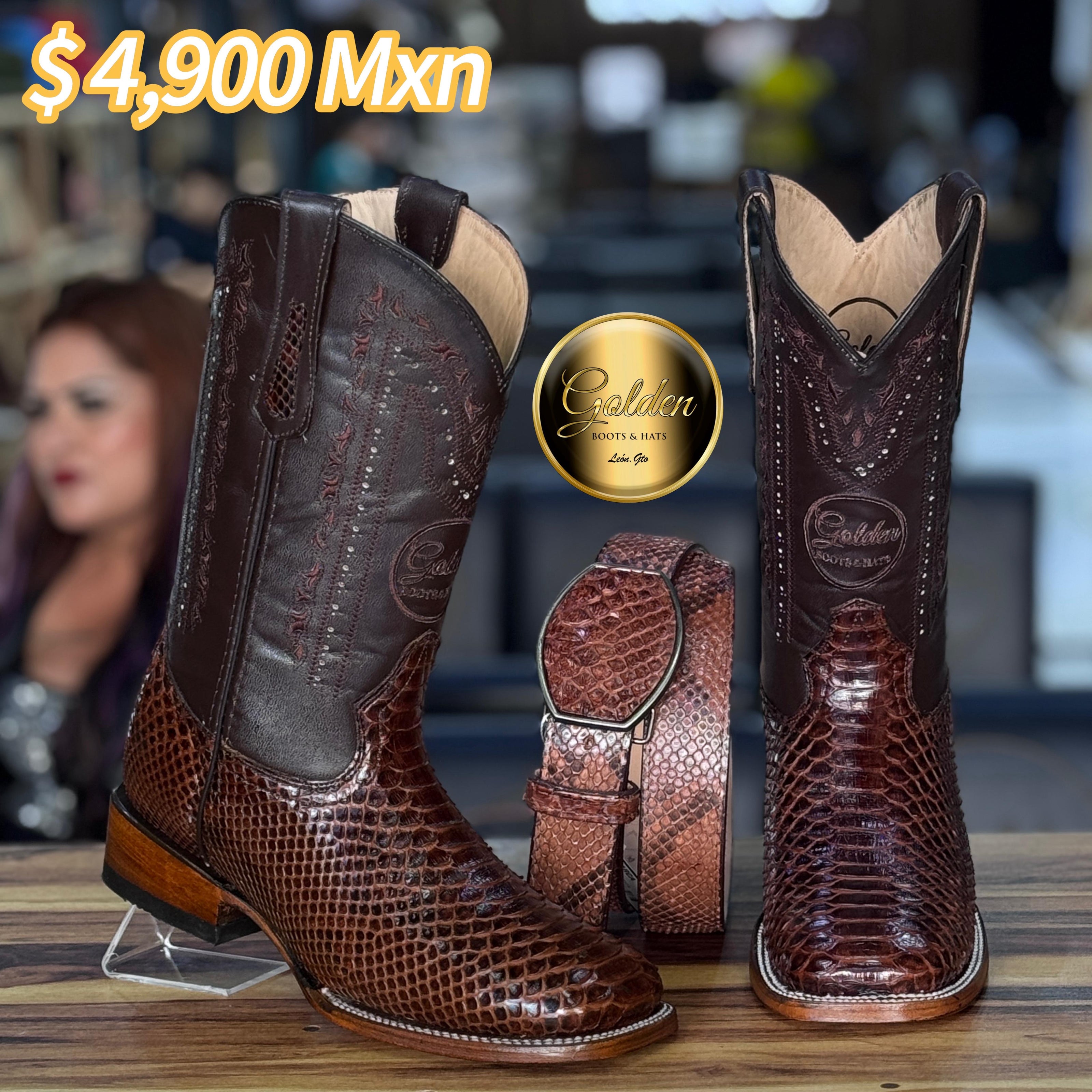 Bota Bulldog Golden Piton Café Brilloso