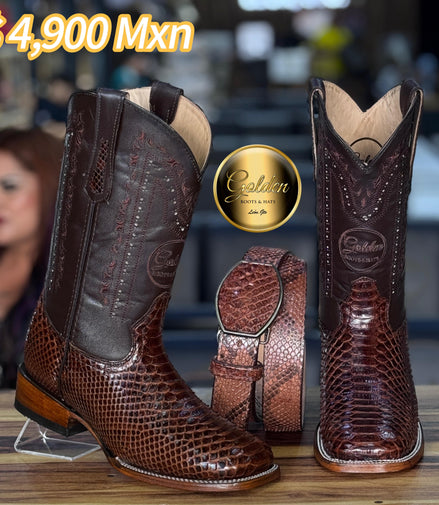 Bota Bulldog Golden Piton Café Brilloso