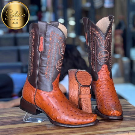 Dubay Golden Aveztruz Coñac