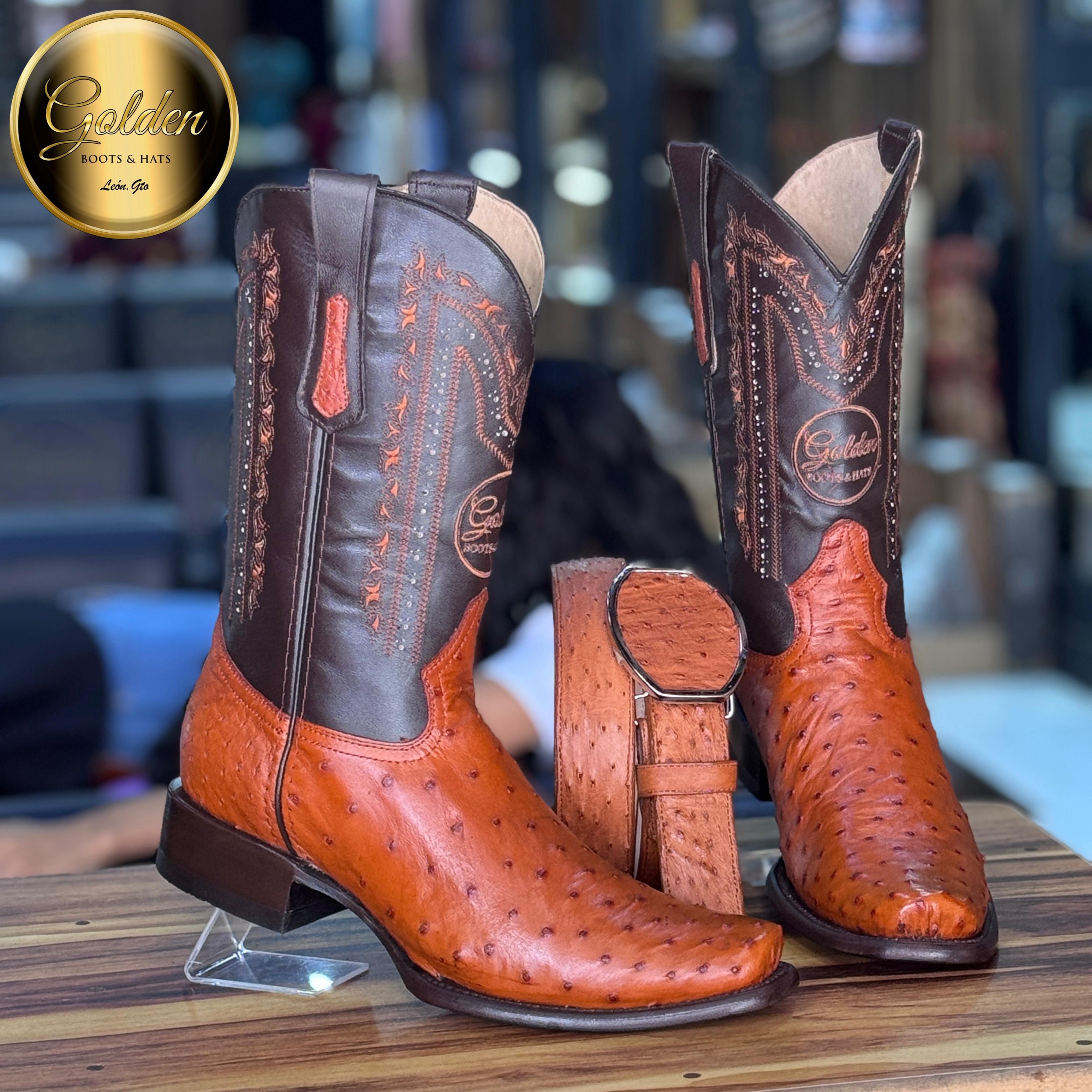 Dubay Golden Aveztruz Coñac