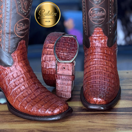 Dubay Golden Cocodrilo Lomo Coñac