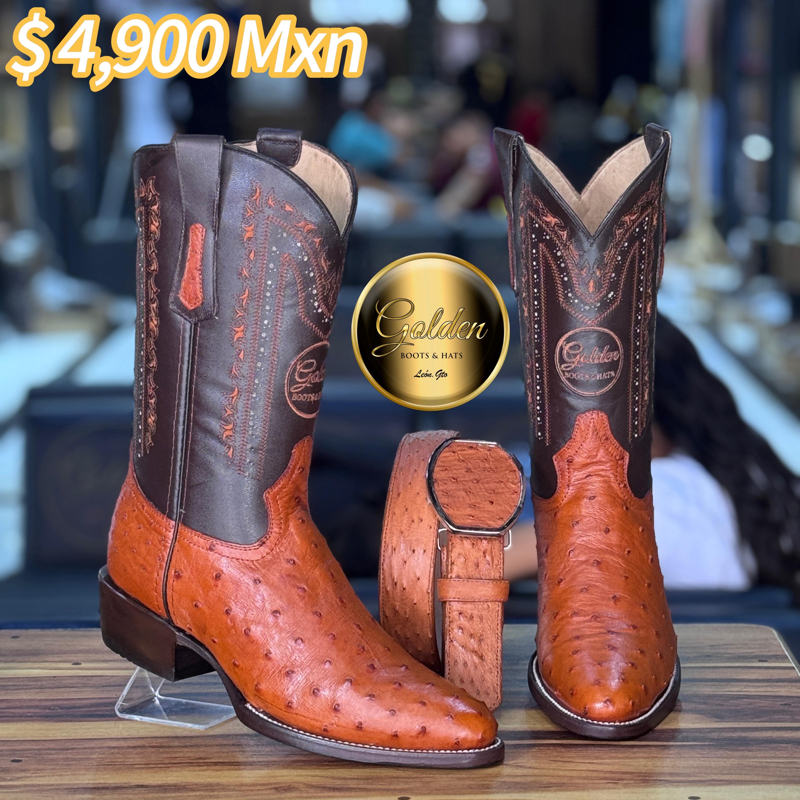 Oval Golden Aveztruz Coñac