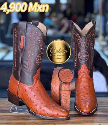 Oval Golden Aveztruz Coñac