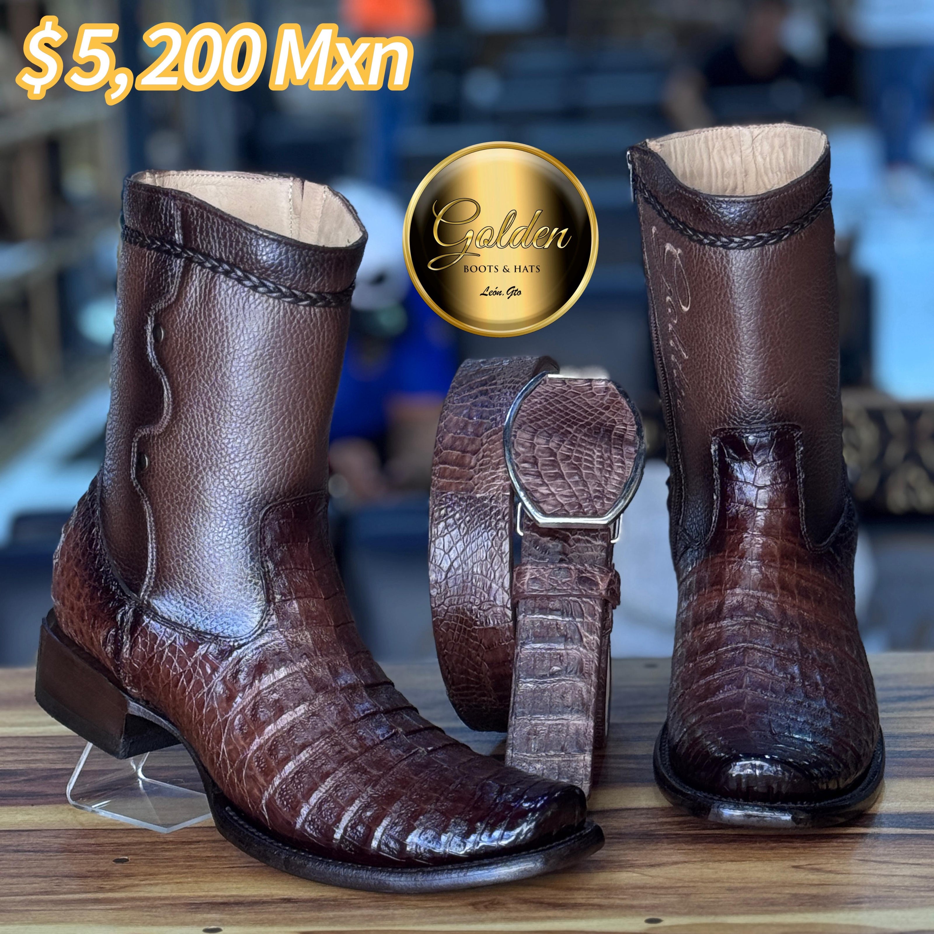 Botín Golden Cocodrilo Panza Café