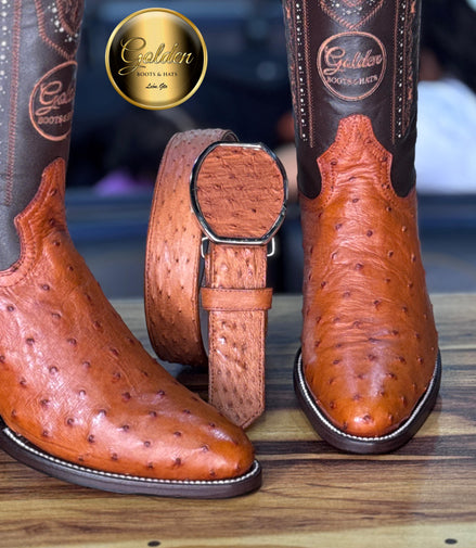 Oval Golden Aveztruz Coñac