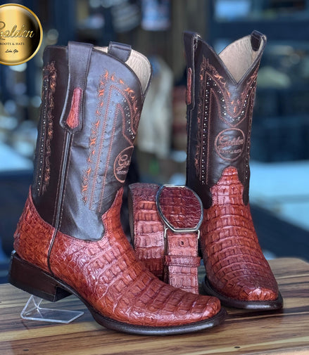 Dubay Golden Cocodrilo Lomo Coñac